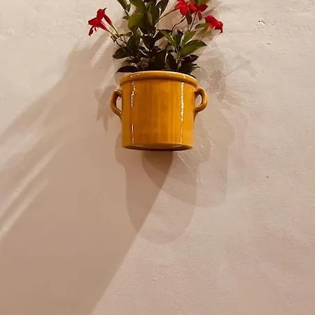 Mariangela *